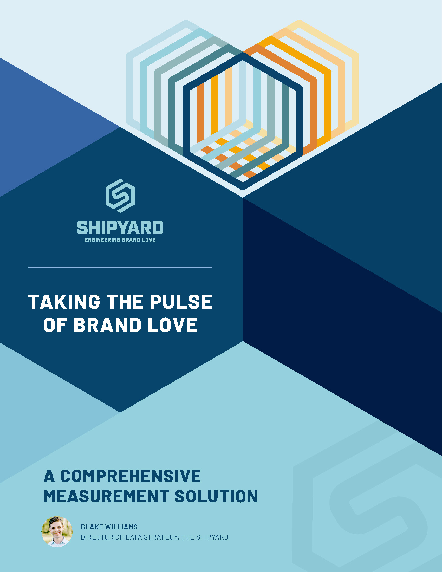 White paper cover - Taking the Pulse of Brand Love - A Comprehensive Measurement Solution by Blake Williams